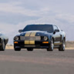 Meet your Posher, Paul